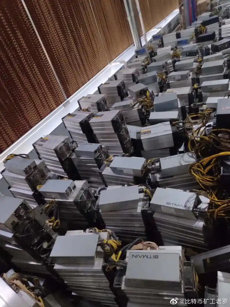 A miner inspecting the components of a mining rig, highlighting the technical aspects of the industry
