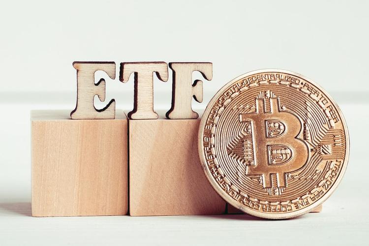 Advanced mining rigs used for efficient cryptocurrency mining