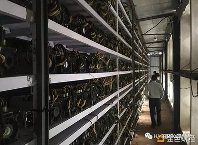 A mining farm with rows of mining rigs, showcasing the scale and infrastructure of a hosting facility